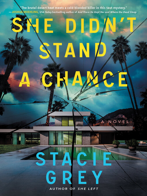 Title details for She Didn't Stand a Chance by Stacie Grey - Available